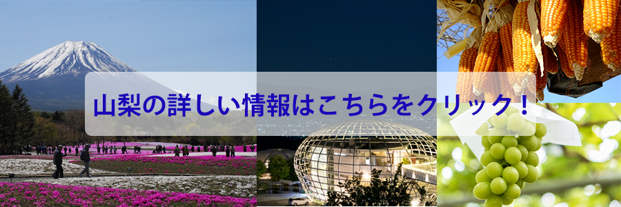 広告画像